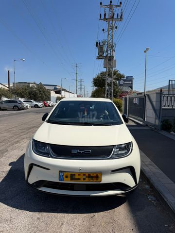 בי.ווי.די דולפין