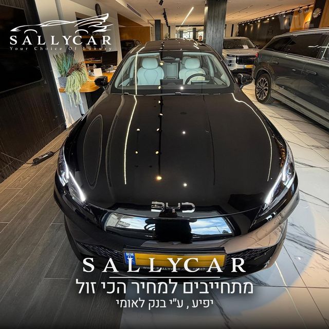 מודעת רכב בי.ווי.די סיל 5