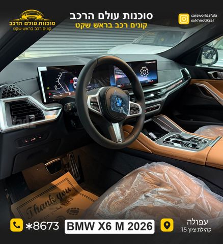 ב מ וו X6