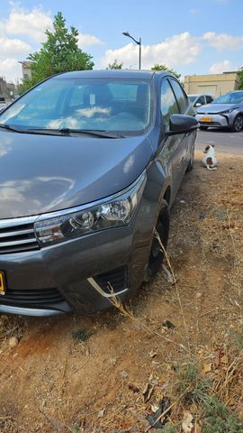 טויוטה קורולה