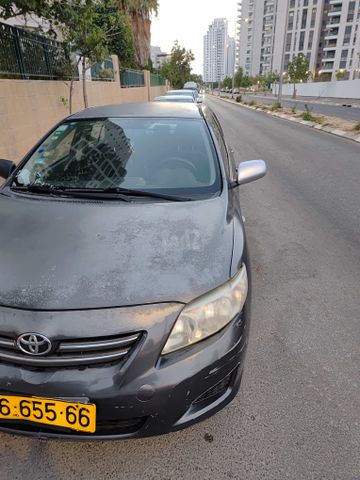טויוטה קורולה