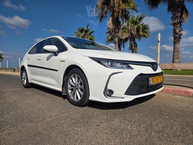 טויוטה קורולה
