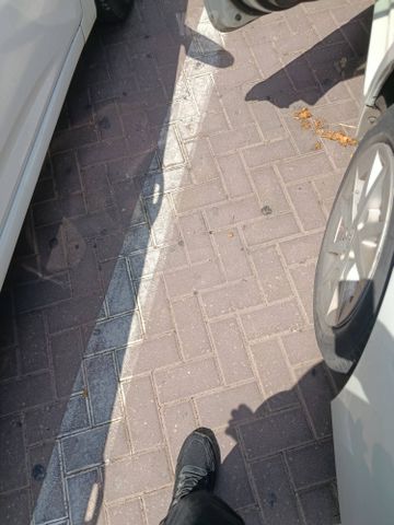 טויוטה פריוס פלוס