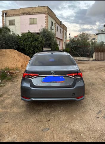 טויוטה קורולה