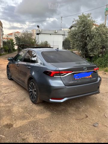טויוטה קורולה