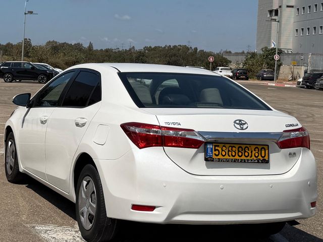 טויוטה קורולה