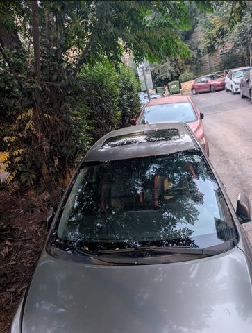 קיה פיקנטו