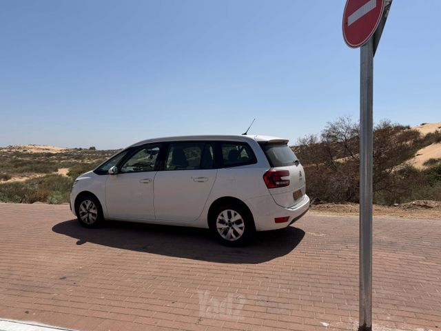 סיטרואן C4 פיקאסו