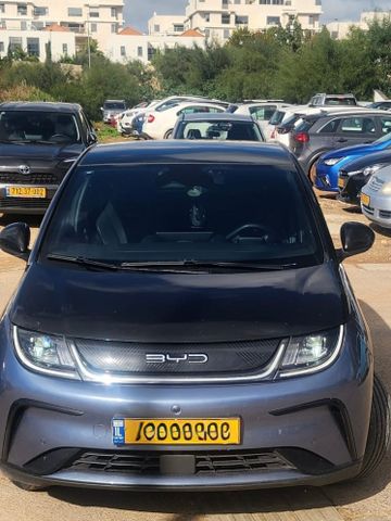 מודעת רכב בי.ווי.די דולפין