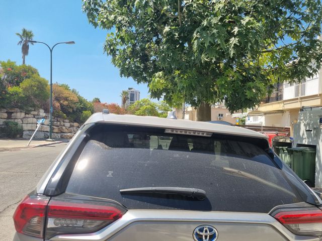 טויוטה RAV4