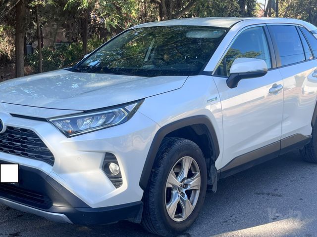 טויוטה RAV4