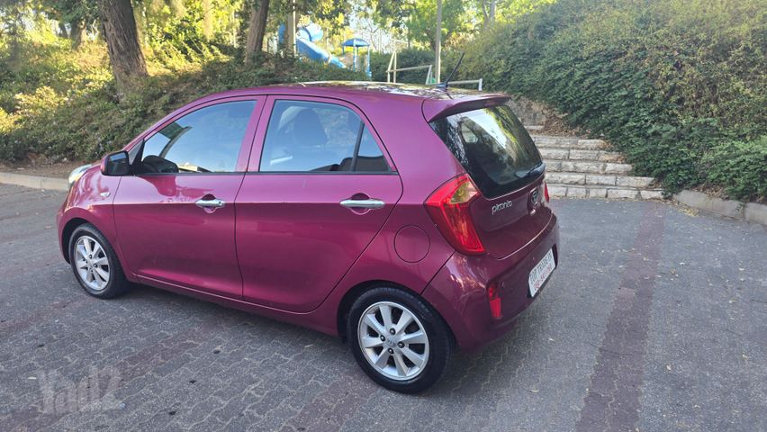 קיה פיקנטו