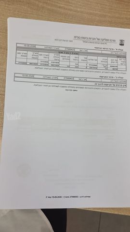 פורתינג פריידי