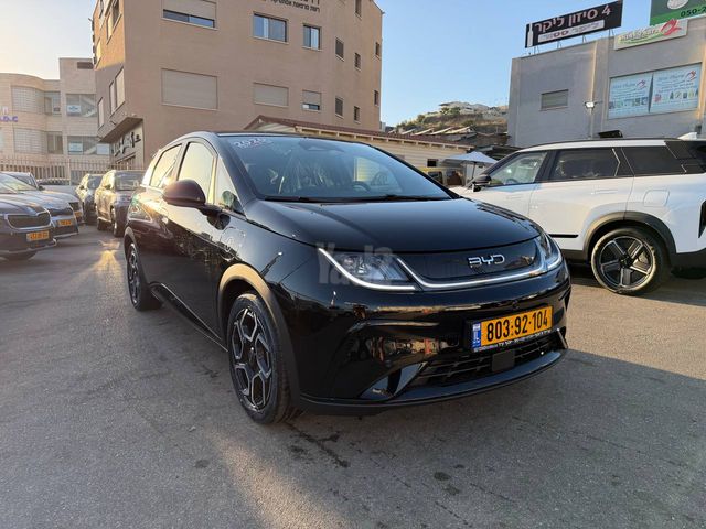 בי.ווי.די דולפין