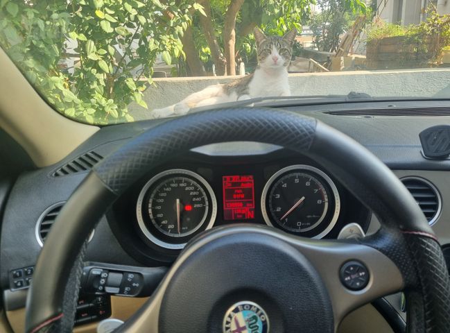 אלפא רומיאו 159