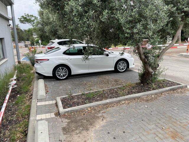 טויוטה קאמרי