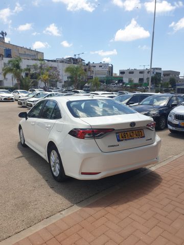 טויוטה קורולה