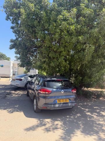 מודעת רכב רנו קליאו 2