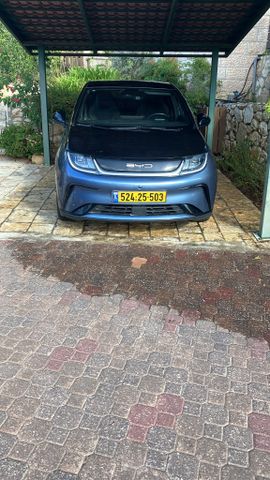 מודעת רכב בי.ווי.די דולפין