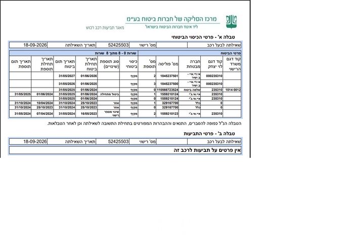 בי.ווי.די דולפין