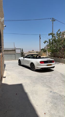 פורד מוסטנג