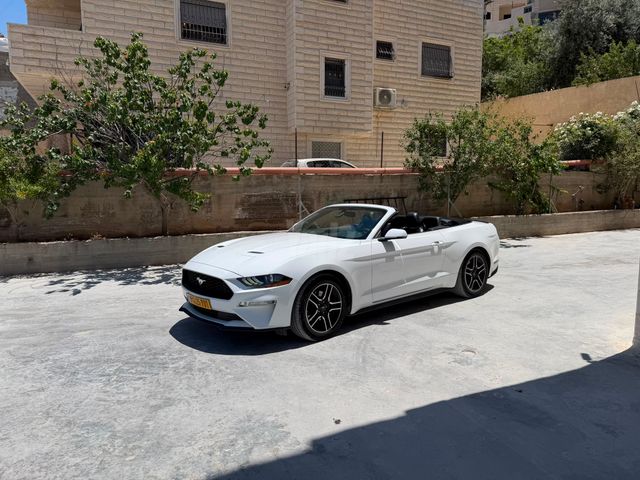פורד מוסטנג