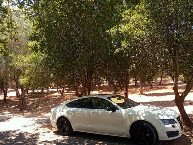אאודי A7