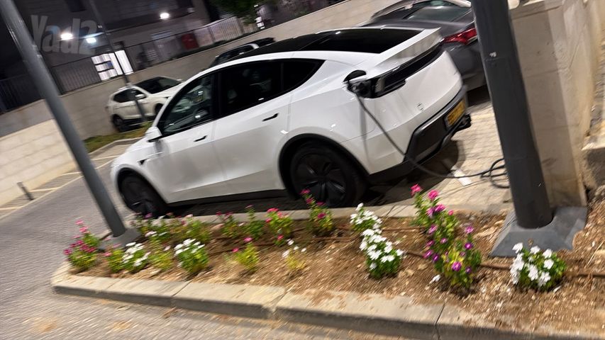 טסלה מודל Y
