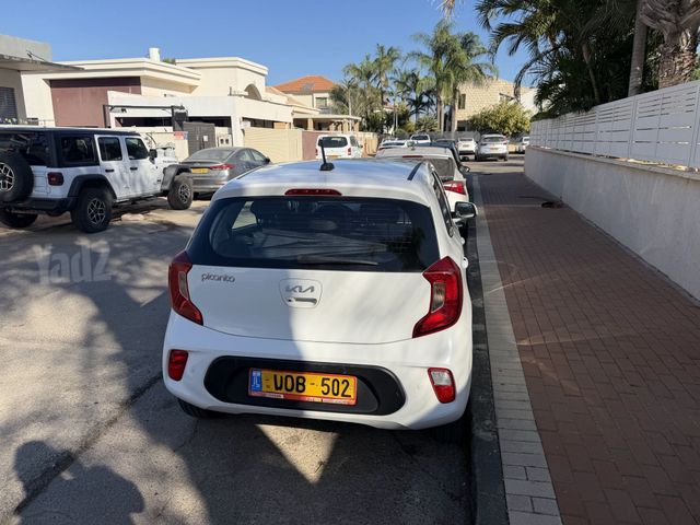 קיה פיקנטו