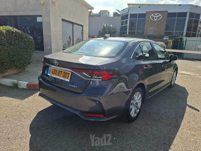 טויוטה קורולה