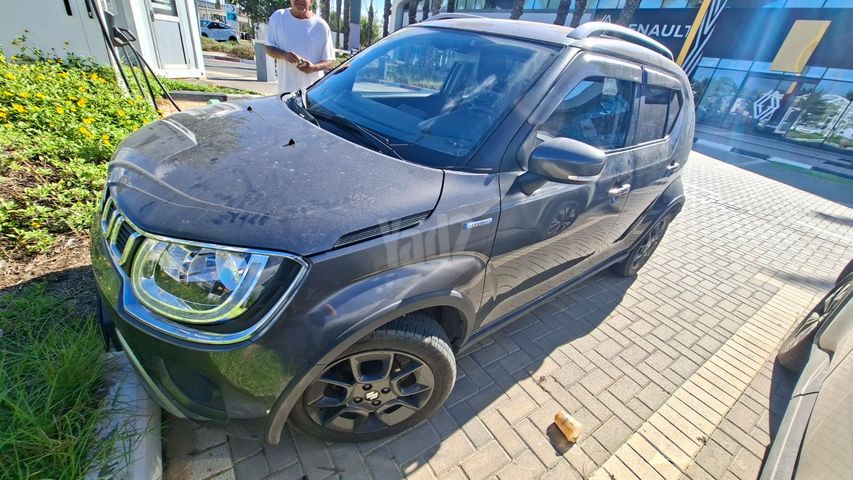 סוזוקי איגניס