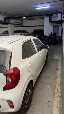 קיה פיקנטו