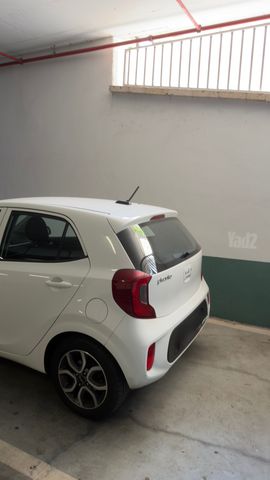 קיה פיקנטו