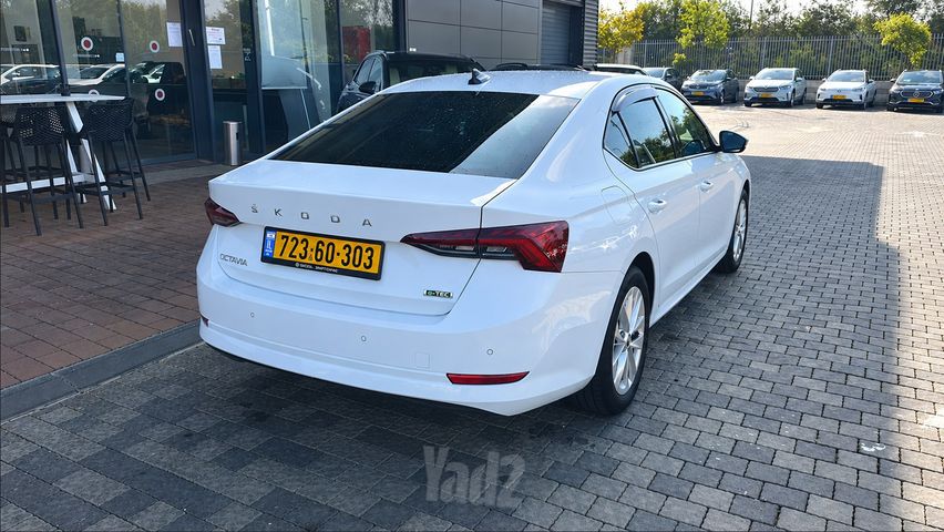 סקודה אוקטביה
