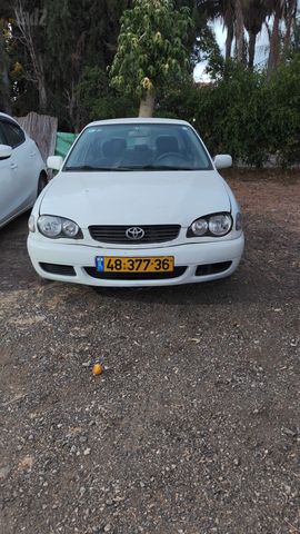 טויוטה קורולה