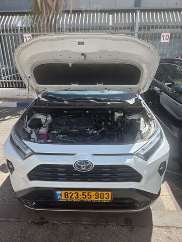 טויוטה RAV4