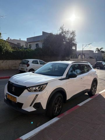 פיג'ו 2008