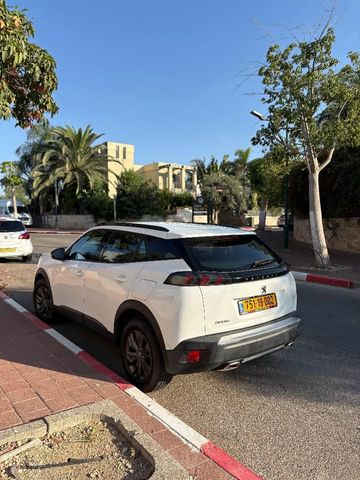 פיג'ו 2008
