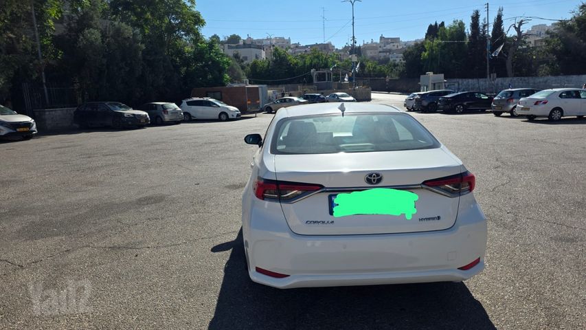 טויוטה קורולה