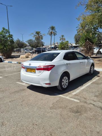 טויוטה קורולה