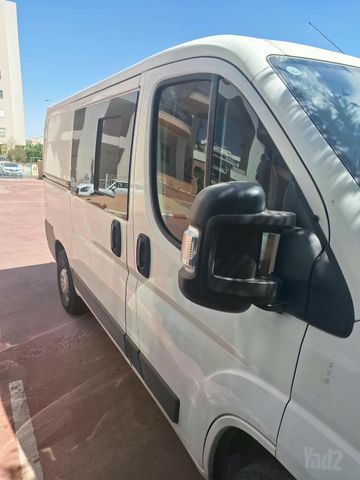 פיג'ו בוקסר
