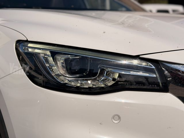 אם ג'י EHS PHEV