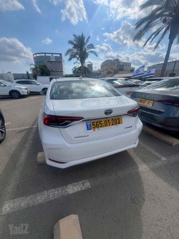 טויוטה קורולה