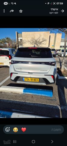 בי.ווי.די דולפין