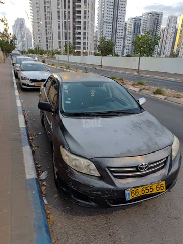 טויוטה קורולה