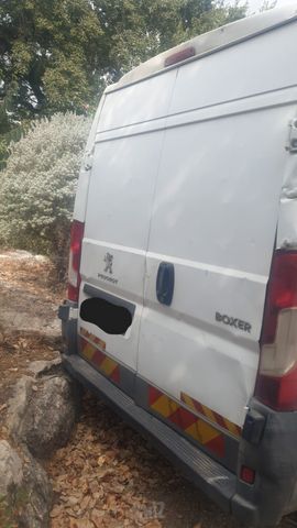 פיג'ו בוקסר
