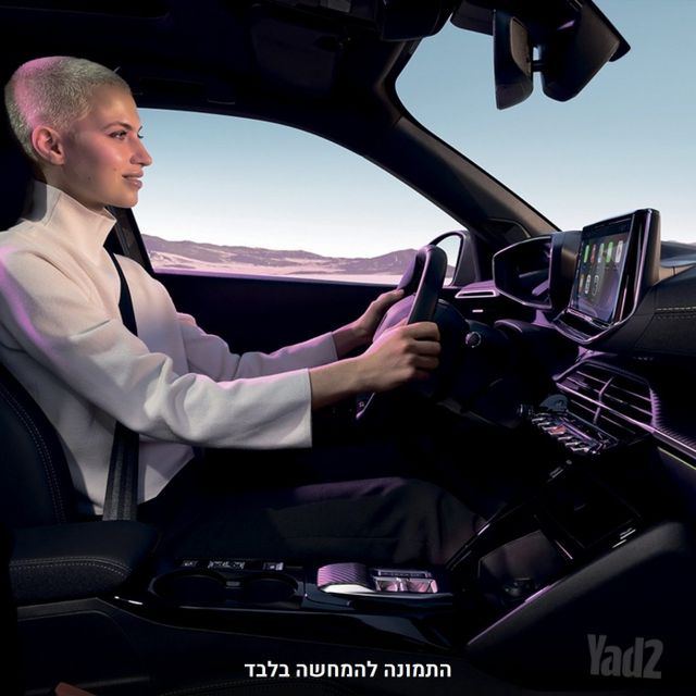 פיג'ו 2008