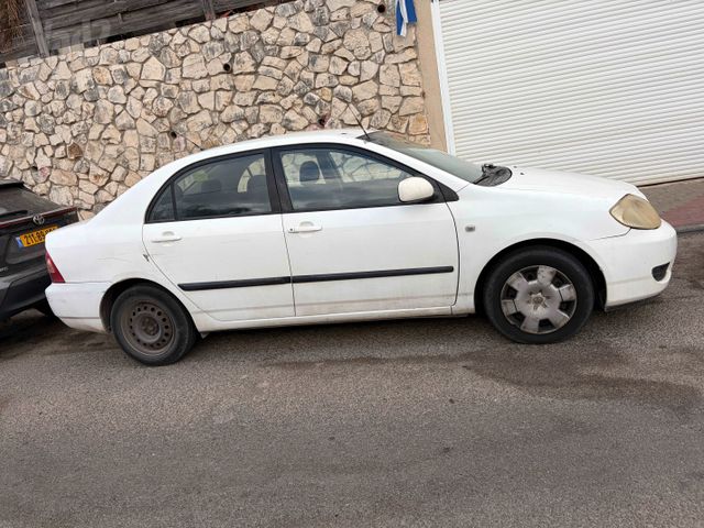 טויוטה קורולה