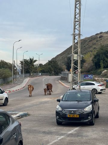 מיצובישי אטראז'