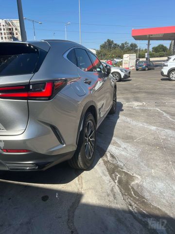 לקסוס NX